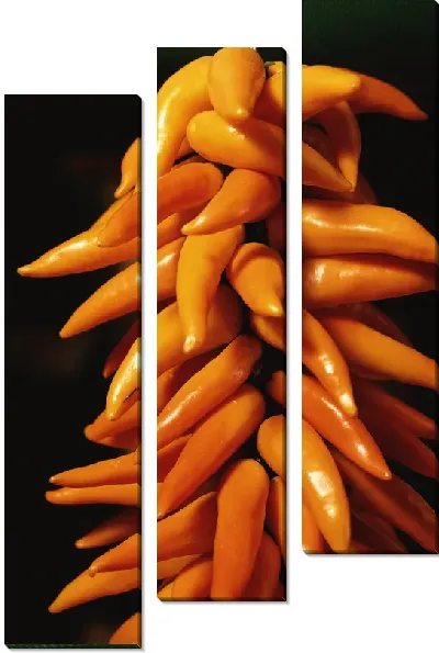 Модульная картина Перец №23