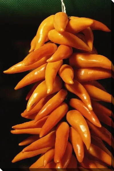 Постер Перец №23