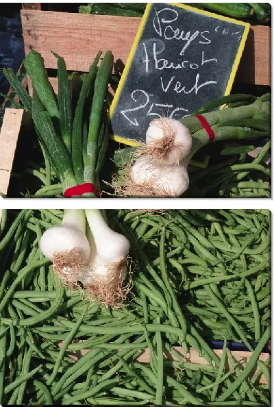 Модульная картина Лук №9