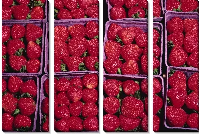 Модульная картина Клубника №8