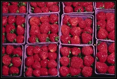 Картина Клубника №8