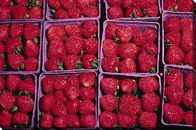 Постер Клубника №8