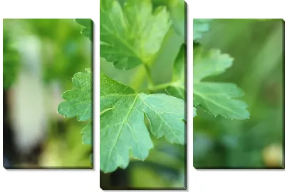 Модульная картина Зелень №5