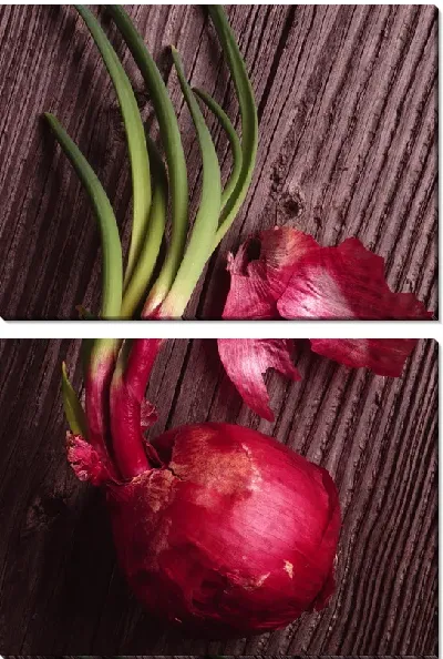 Модульная картина Лук №10