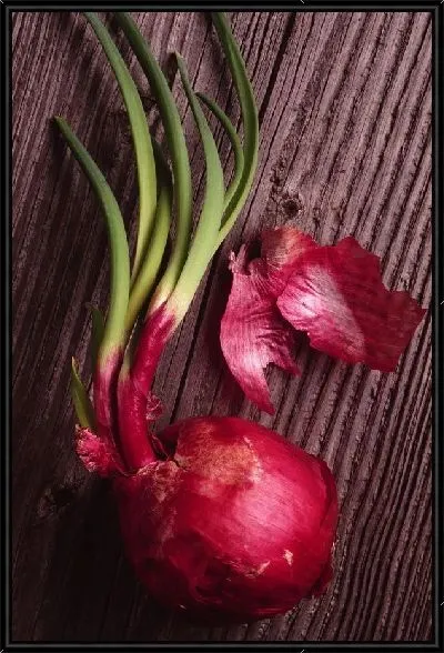 Картина Лук №10