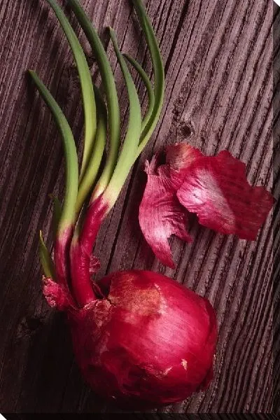 Постер Лук №10