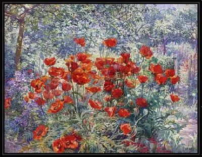 Маки в саду