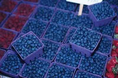 Плакат Ягоды №10