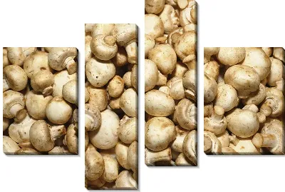 Модульная картина Грибы №4