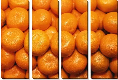 Модульная картина Мандарины