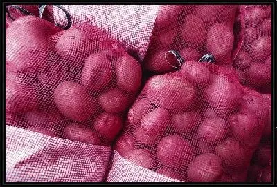 Картофель №3