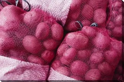 Картофель №3