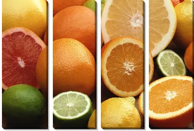 Модульная картина Цитрусы