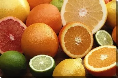 Постер Цитрусы