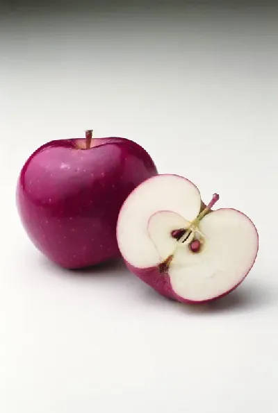 шаблон id 34