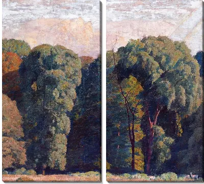 Лесной пейзаж