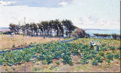картина