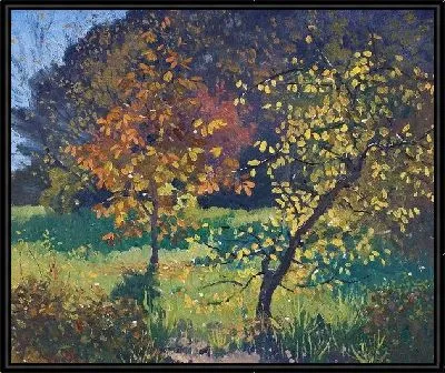 Осенние деревья