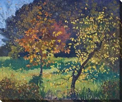 Осенние деревья