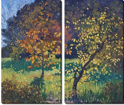 Осенние деревья