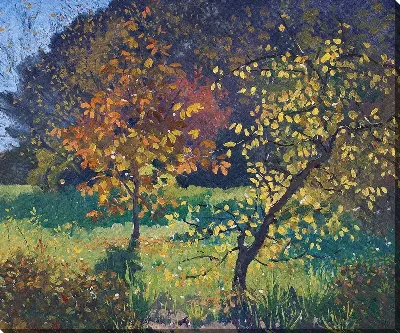 картина