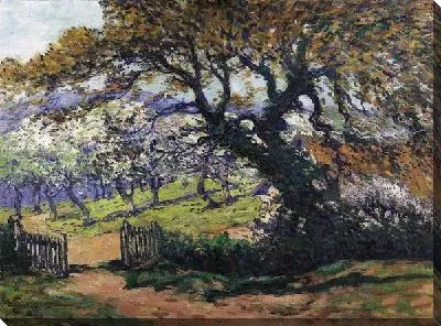 Осенний пейзаж №29