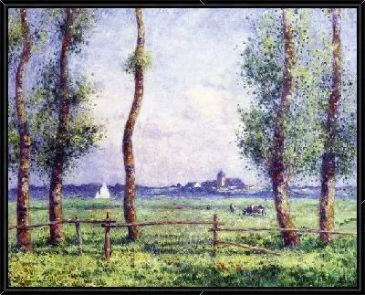 Деревья летом