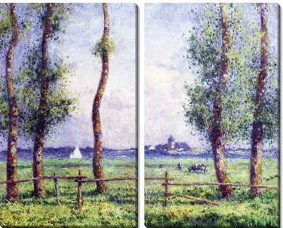 Деревья летом