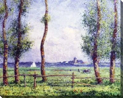 Деревья летом