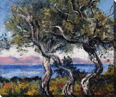 Картина Оливковые деревья