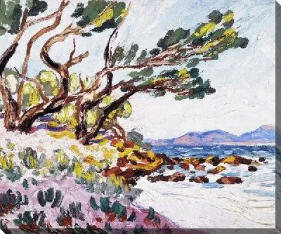 Картина Дерево у океана