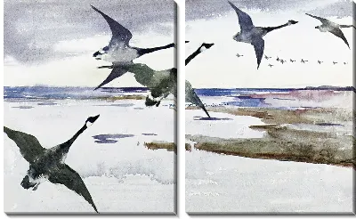 Канадские гуси