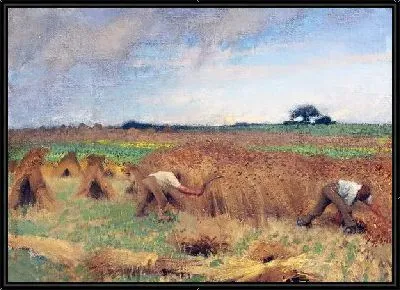 Работа в поле