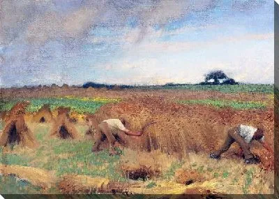 Работа в поле