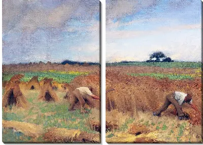 Работа в поле