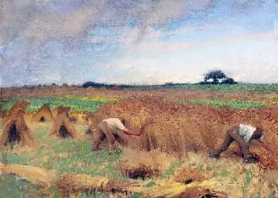 Работа в поле