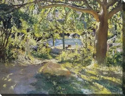 Дорожка в лесу