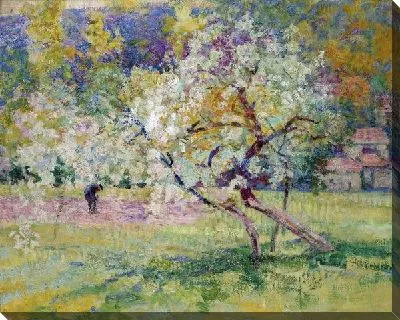 Цветущее дерево