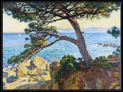 Дерево на берегу моря