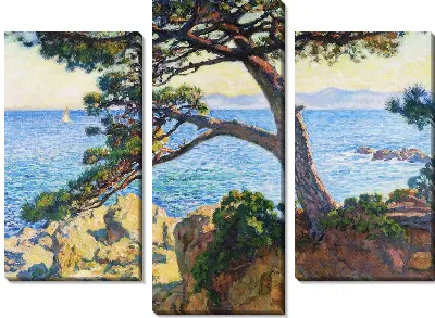 Дерево на берегу моря