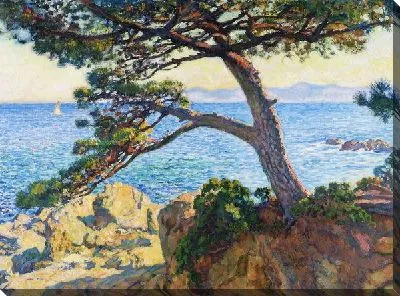 Дерево на берегу моря