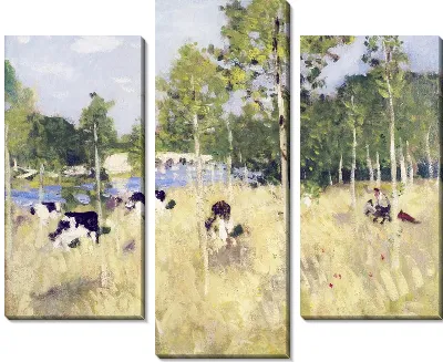 Коровы на поле