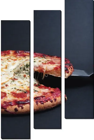 Модульная картина Пицца №22
