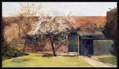 Дерево в цвету