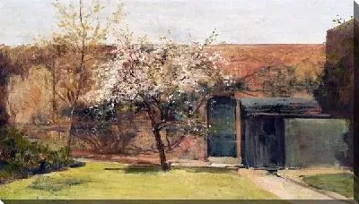 Дерево в цвету