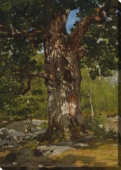 Картина Старый дуб