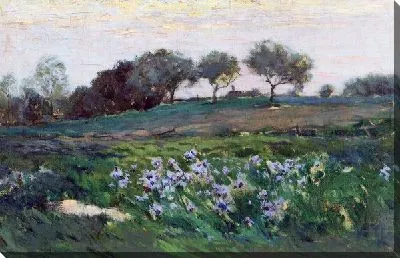 Сумерки на поле