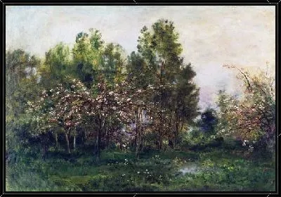 Яблони в цвету