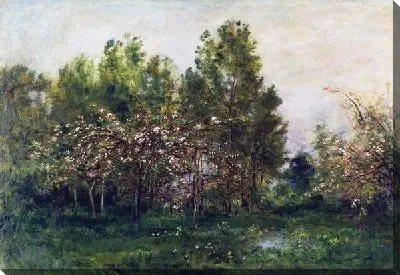 Яблони в цвету