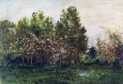 Яблони в цвету